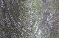 Calton Lees fibreglass roof work